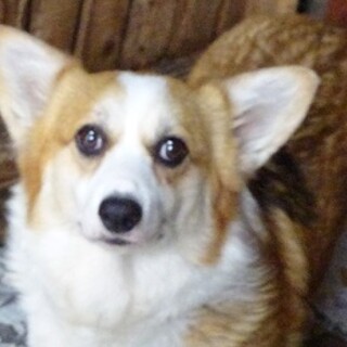 とても可愛い女の子です。