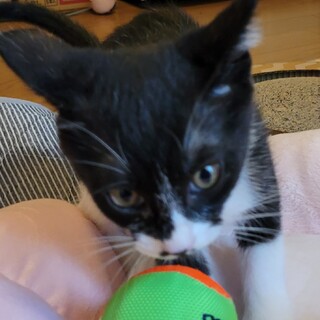 愛嬌たっぷり元気な女の子