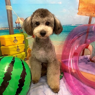 幸せみつかりました！