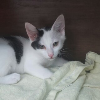 元気いっぱい天真爛漫なげんきくん　３か月