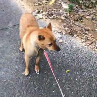 ありがとうございました！