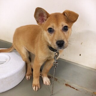 まんまるおめめの あつかなちゃん 3ヶ月