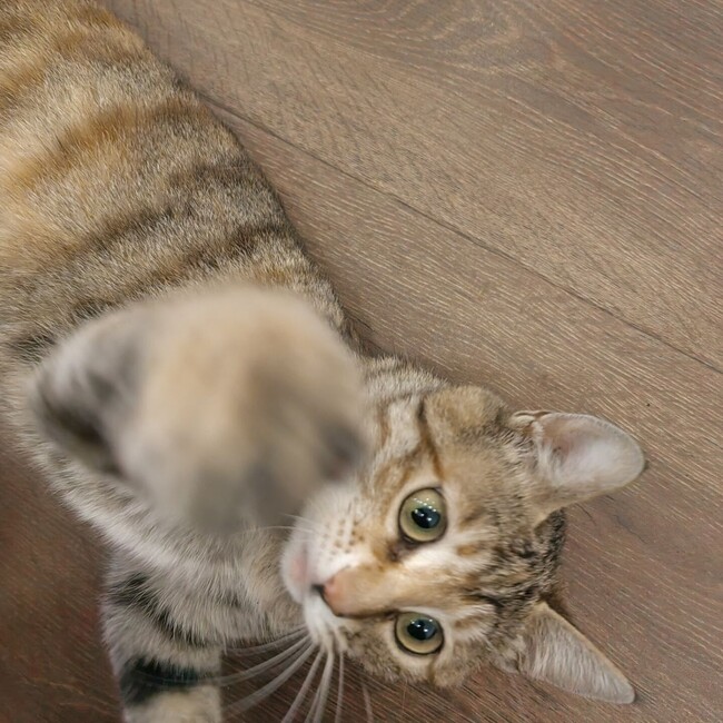 Kusaka hiroのカバー写真