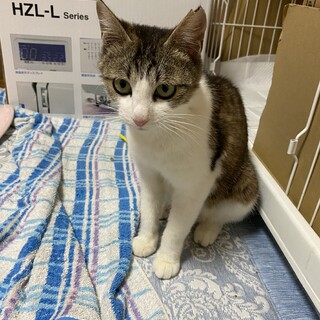 優しい母性あふれるあいちゃん