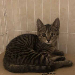 ビビり君なのに、抱っこでゴロゴロしちゃう