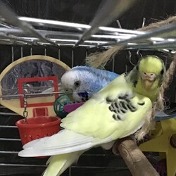 素晴らしい出逢いをありがとうございます。