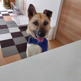 「ロック」男の子