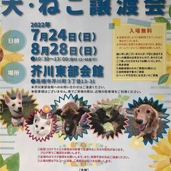 犬●猫　譲渡会