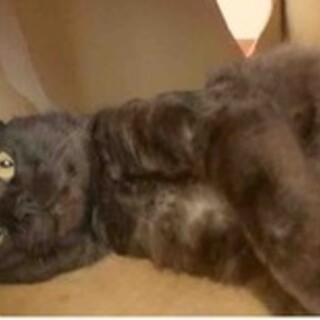 おっとり男子かずくん