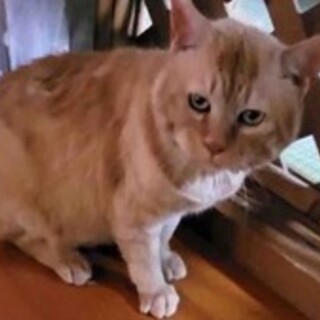 甘えん坊のノンくん