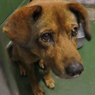 大人しいけど芯が強い大和撫子ナミちゃん