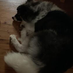 「えっと…何から話そう…。」サムネイル2