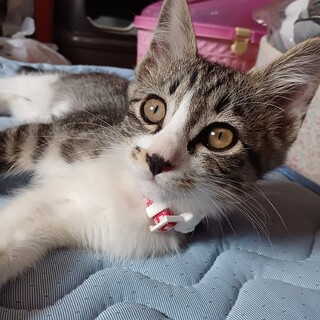 春美ちゃんって言うの！よろしくね❤️