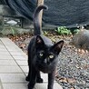 ヨピコさん