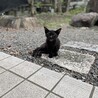 大人しくお座りできます。
