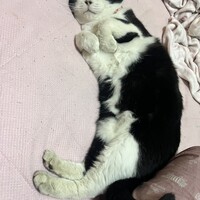 ちむ