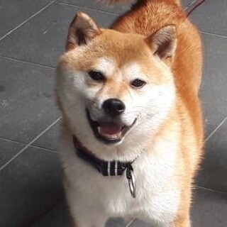 推定4-6歳天然系な【タツヤ】くん