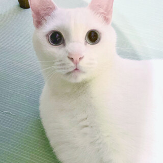 甘え方を知った純情ボーイ♡キク君