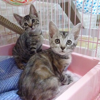 今が1番可愛い時期6兄妹❣️