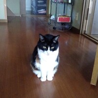 ちいちゃん