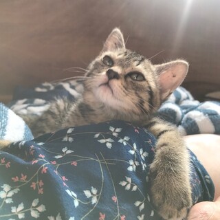 少し麻痺がありますがとっても元気なつゆちゃんです