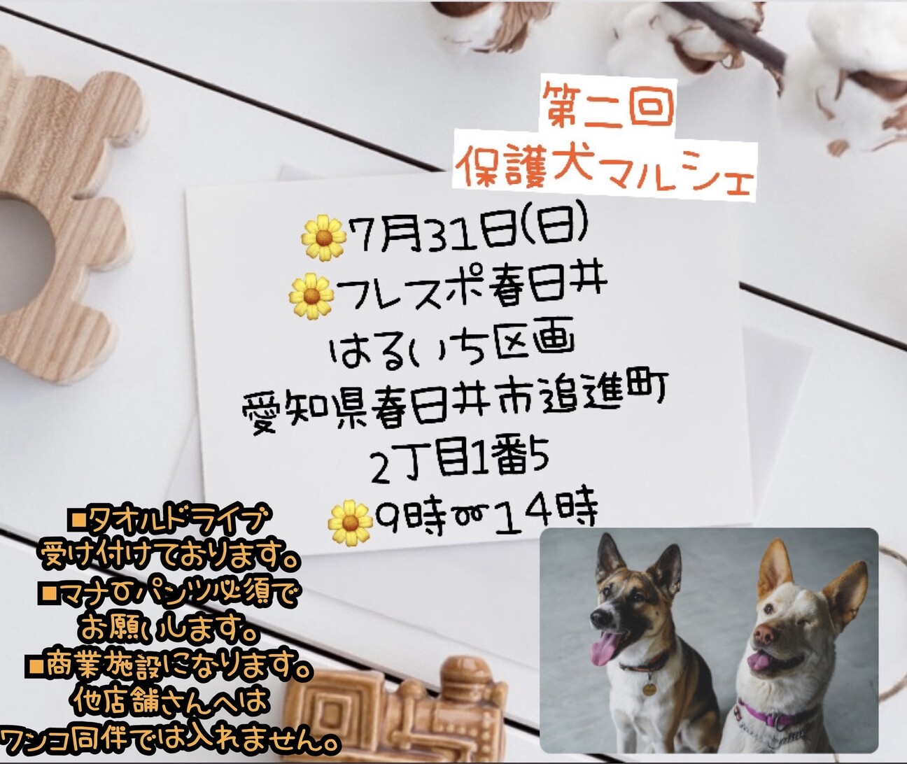 第二回保護犬マルシェ 動物愛護団体チェリッシュのイベント ペットのおうち 月間利用者150万人