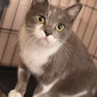 ディライトちゃん！