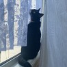 ぬまぬまぬー
