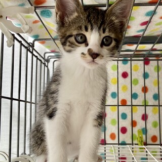 おっとり優しい草食系男子ポッチくん　2か月半