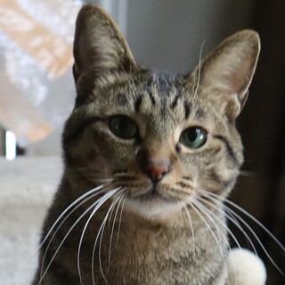 元気印のかおるです！