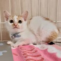 家族が決まりました☺︎