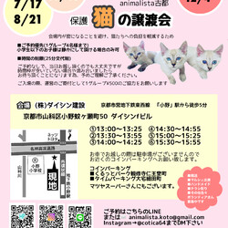 animalista古都　保護猫の譲渡会