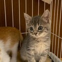 トライアル決定！1番人馴れっ子のデアちゃん♡