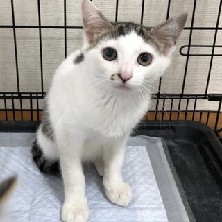 甘えん坊で前髪が可愛い♡さつきちゃん