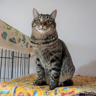 おな君に会いに来てください❣️