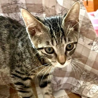 　パープルちゃん♡抱っこできます。