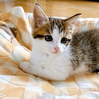 7/17西千葉ෆ⃛クライミング女子ෆ⃛ランちゃん