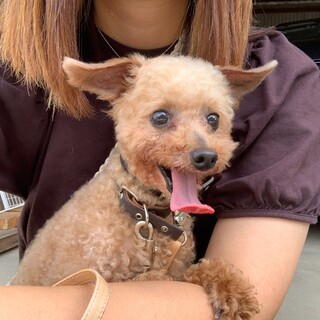 この子を助けてください。