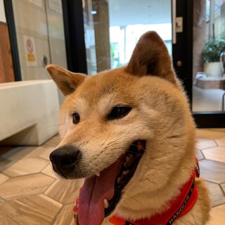 「まるこ」女の子