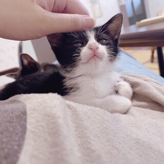 おしゃまな可愛いやよいちゃん❣