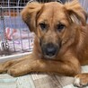 テイルズのずっとの家族を探しています。 サムネイル2
