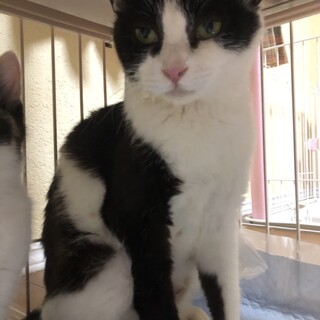 〝マツちゃん〟です♪