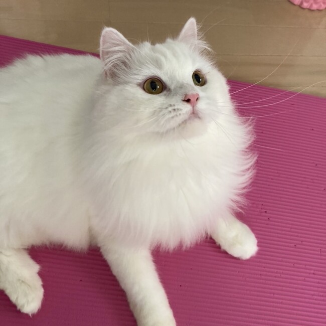 みーばいのカバー写真
