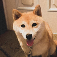 ナナ