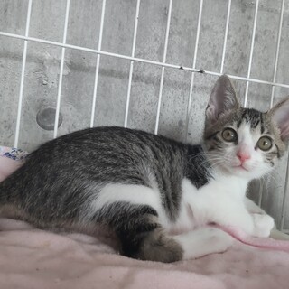 生後２カ月　ゴロスリの女の子☆