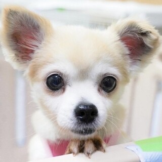 たくさん甘やかして！穏やかで甘えん坊の女の子♡