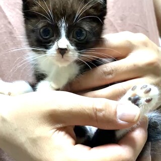 超フレンドリーな可愛い小ぶりな女の子♡