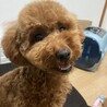 ゆきつ