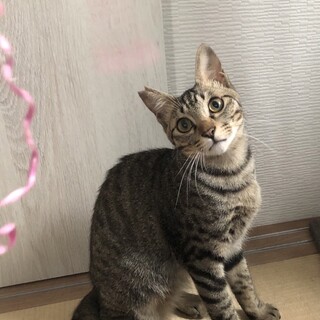 好奇心旺盛♫くりたろ君