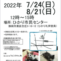 ねこのWa猫譲渡会〜静岡市葵区